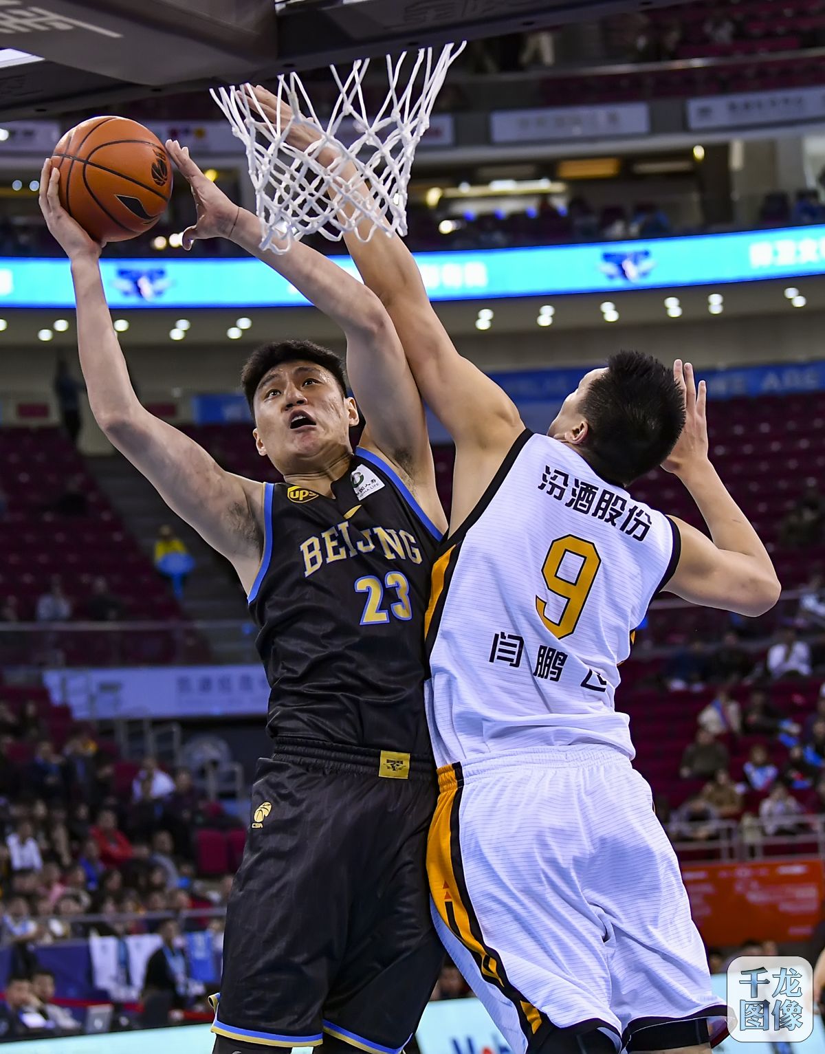 能与智力的 能与智力的