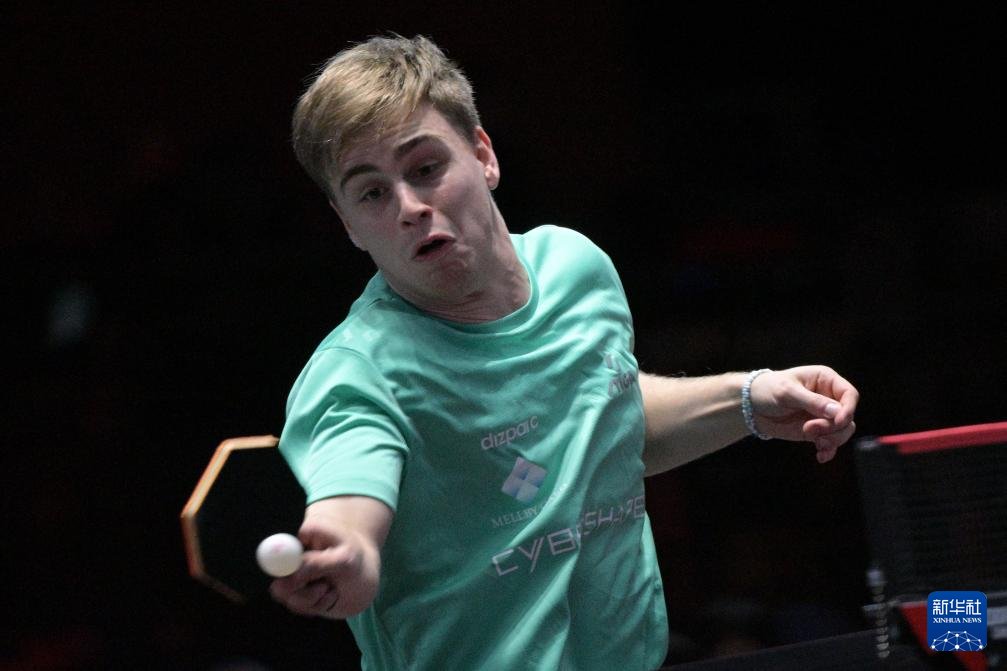 依靠顽强的 依靠顽强的