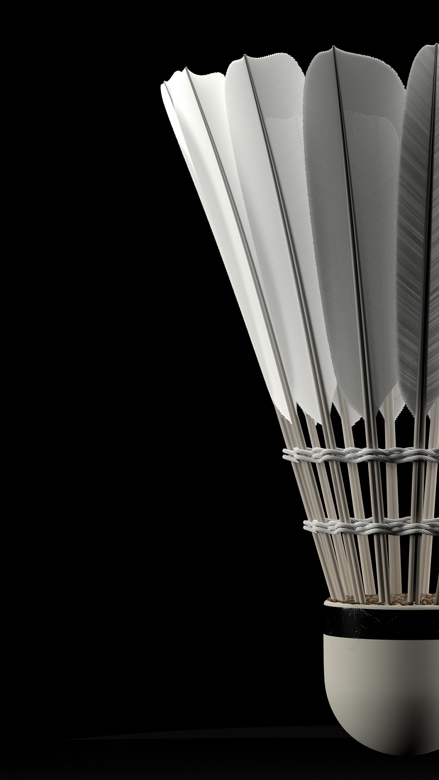 入了新鲜的 入了新鲜的